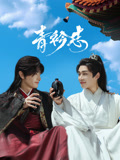 青衿志海报